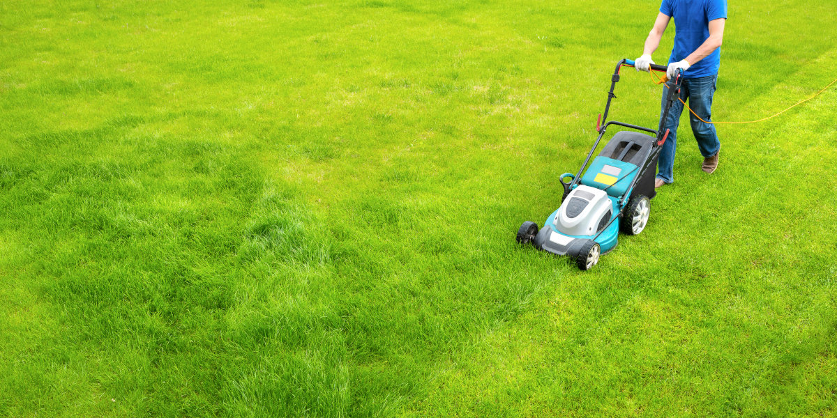 Tonte de pelouse Rezé