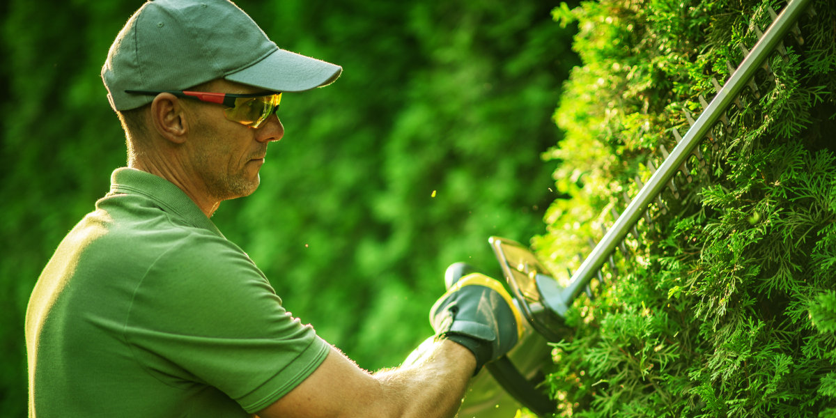 services elagueur rezé